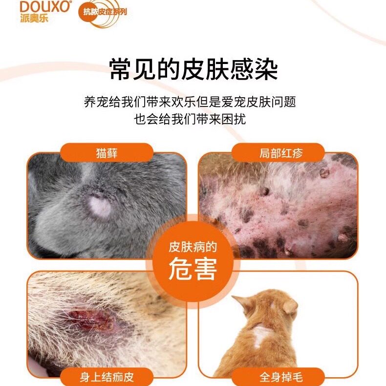 苏吉华DOUXO多可素棉片:宠物黑下巴终结者!治愈喵星人汪星人真菌细菌烦恼!-猫狗免洗清洁-淘宝好物网