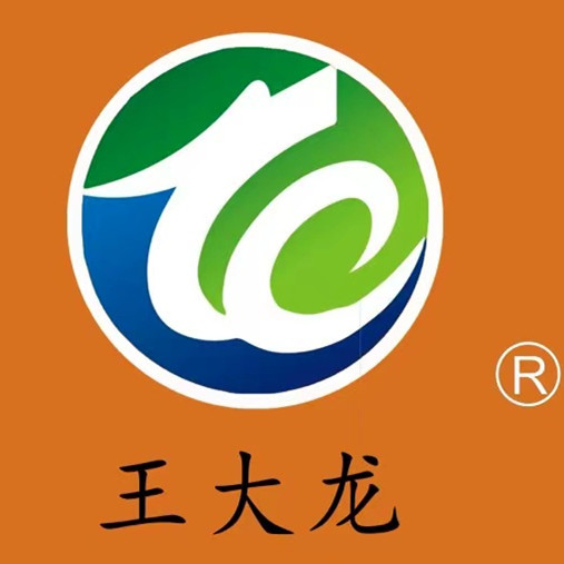 王大龙旗舰店