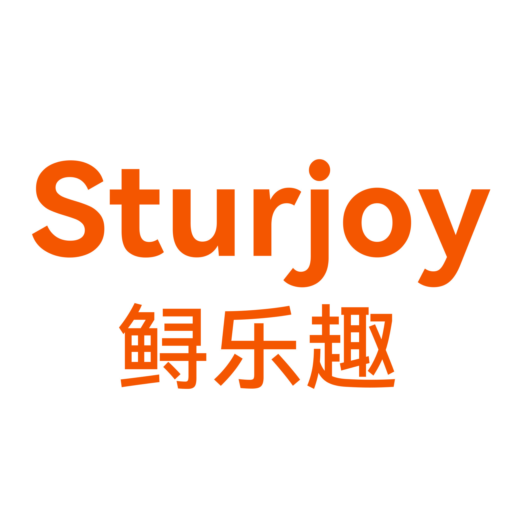 鲟乐趣益智工坊企业店