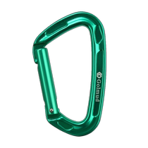 Golmud carabiner main lock D-shaped buckle self-locking load-bearing hook outdoor safety hook quick-release buckle GM9152