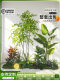 Artificial Plant Landscaping Bonsai Set for Living Room Decoration, Green Plant Combination for Window Display, Home Decor Piece, Ambiance Tree