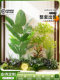 Artificial Plant Landscaping Bonsai Set for Living Room Decoration, Green Plant Combination for Window Display, Home Decor Piece, Ambiance Tree