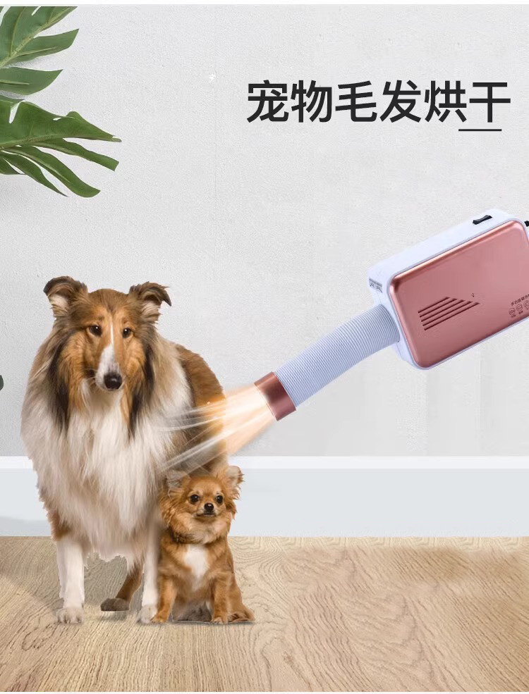 ПЭТ сушильный элемент 宠物猫咪烘干箱家用小型狗狗洗澡吹水机缅因兔子吹干吹毛简易折叠