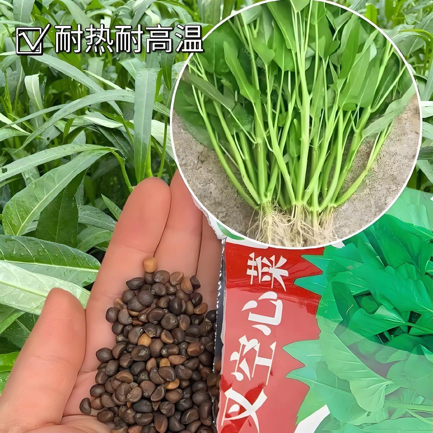 英国曲洛司坦VETORYL 10/30/60MG：库欣氏综合症治疗新希望？