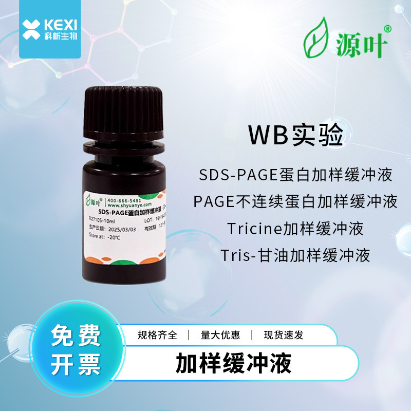 源叶 试剂加样缓冲液体SDS-PAGE蛋白/PAGE不连续蛋白/甘油加样缓冲液