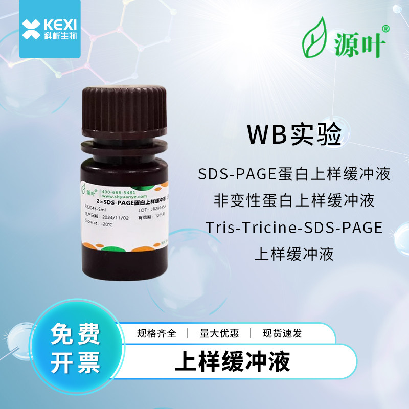 源叶 试剂蛋白上样缓冲液SDS-PAGE/非变性/TrisTricine-SDS-PAGE缓冲液