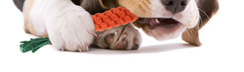 Dễ thương Molar Rope Dog Cotton Line Cà rốt Tương tác Rope Pet Dog Cat Puppy Toy Molar Clean Răng chọn đồ chơi cho mèo