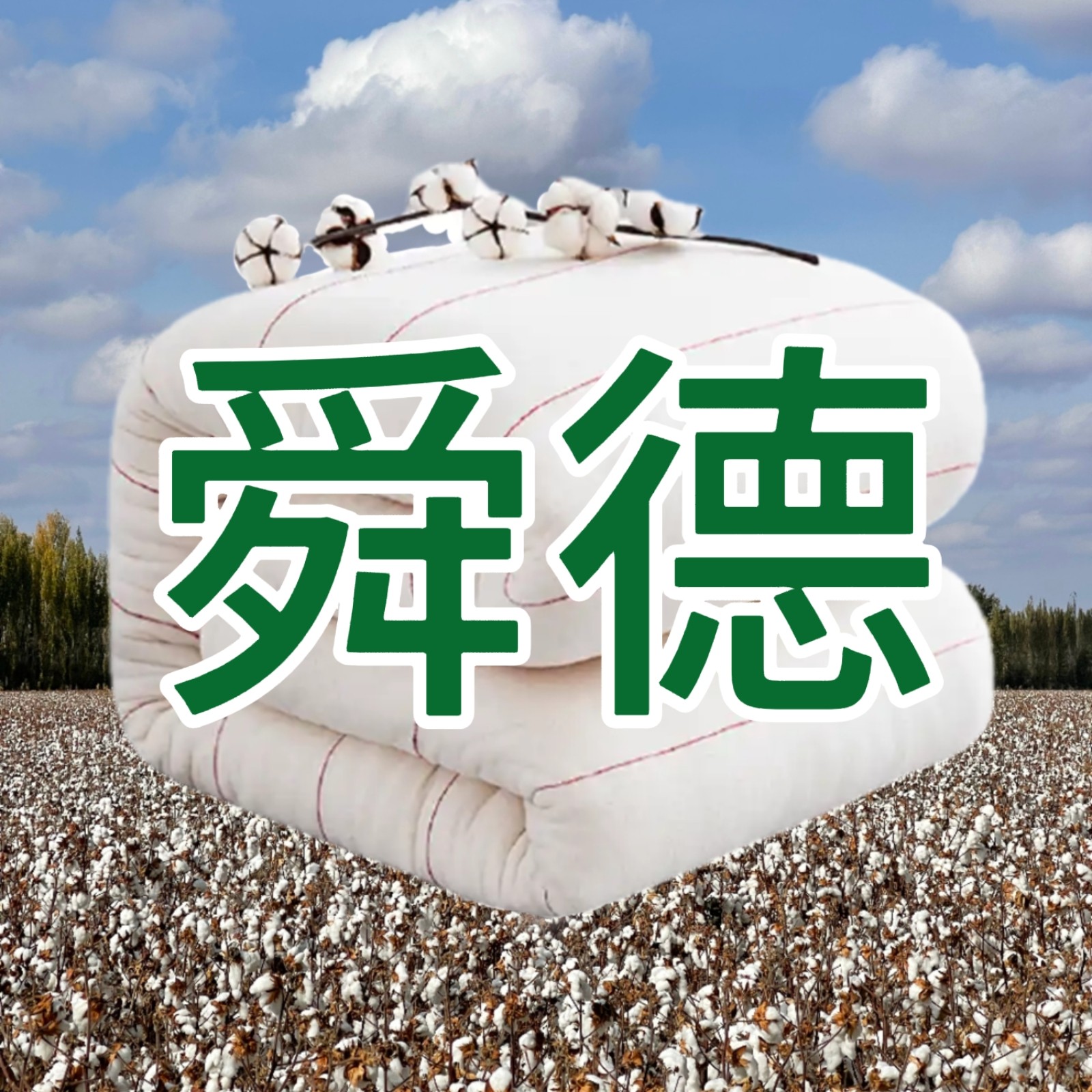 舜德新疆棉花被家纺