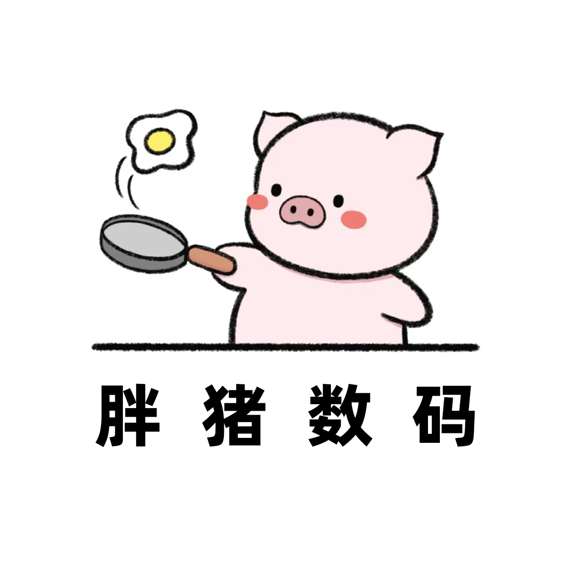 胖猪数码