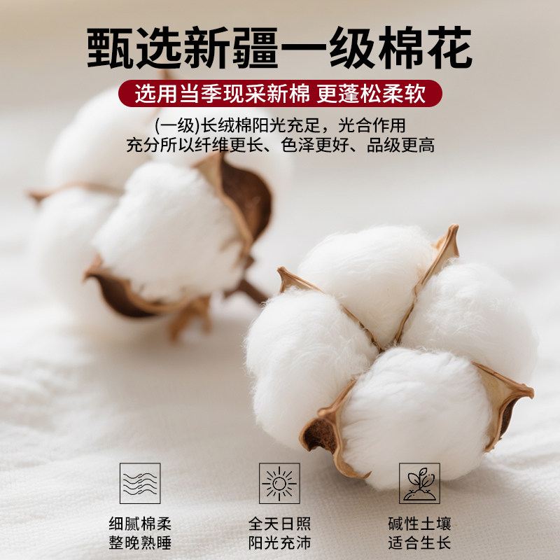 Muji Xinjiang Grade 1 Cotton Quilt Winter Quilt Thickened Warm Quilt for Winter 5kg Quilt Core Autumn and Winter Quilt