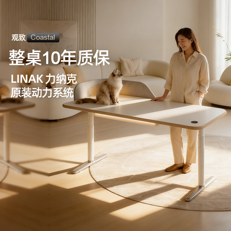 Linak White Electric Height-Adjustable Desk Dual Motor Home Office Desk Computer Desk Study Desk Linak White Electric Height-Adjustable Desk Dual Motor Home Office Desk Computer Desk Study Desk