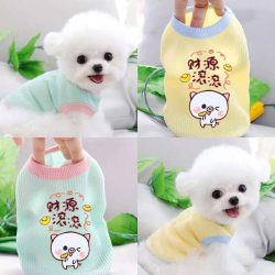 Puppy Dog Cat Clothes Autumn and Summer Thin Bitter Bear Fadou Popular Pet Corgi Teddy Beaumi Small Size Dogs Puppy