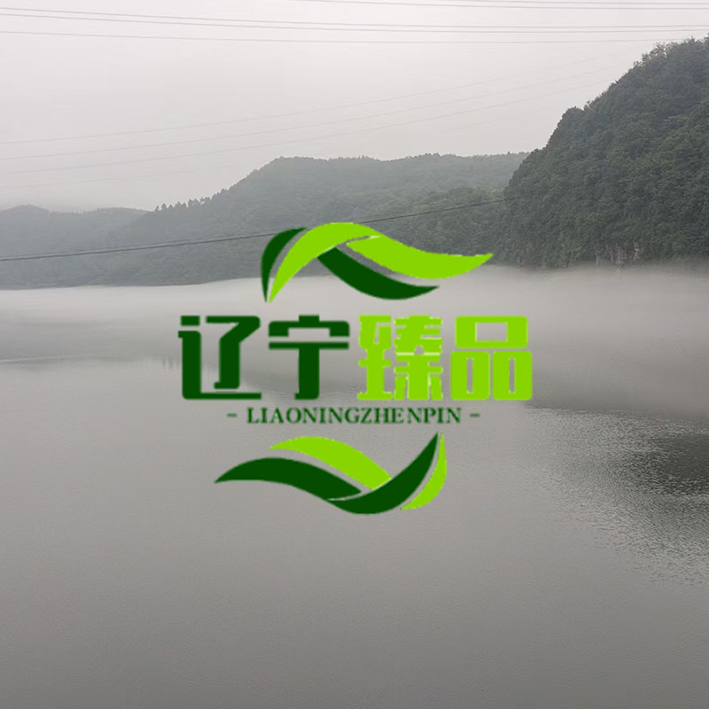 辽宁桓仁臻品土特产