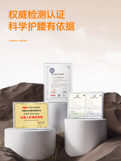 思菲其护腰久坐神器办公室腰部支撑靠垫人体工学座椅背靠靠枕TPE