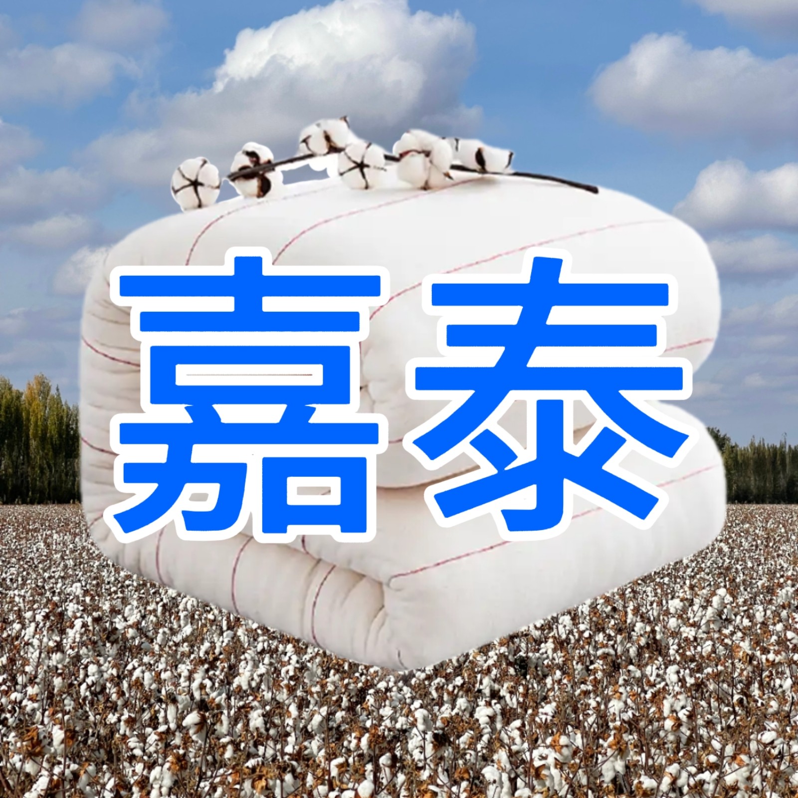 嘉泰新疆棉花被家纺的LOGO