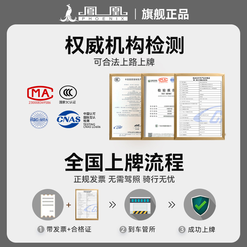 Phoenix 2025 New Model National Standard Electric Vehicle Adult Women's Electric Bicycle Commuting Two-Wheeled Battery-Powered Small Vehicle