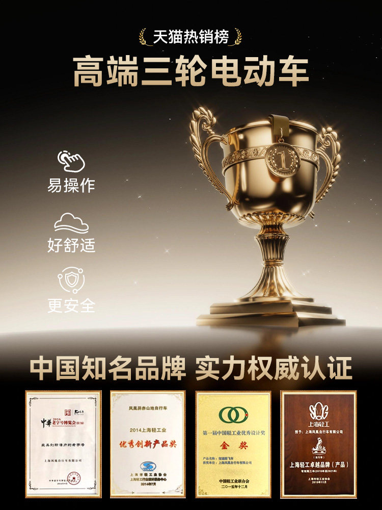 Phoenix New Electric Tricycle for Home Use, Small-Sized Mobility Aid for Women and Elderly, Suitable for Picking up and Dropping Off Children, New National Standard Electric Tricycle