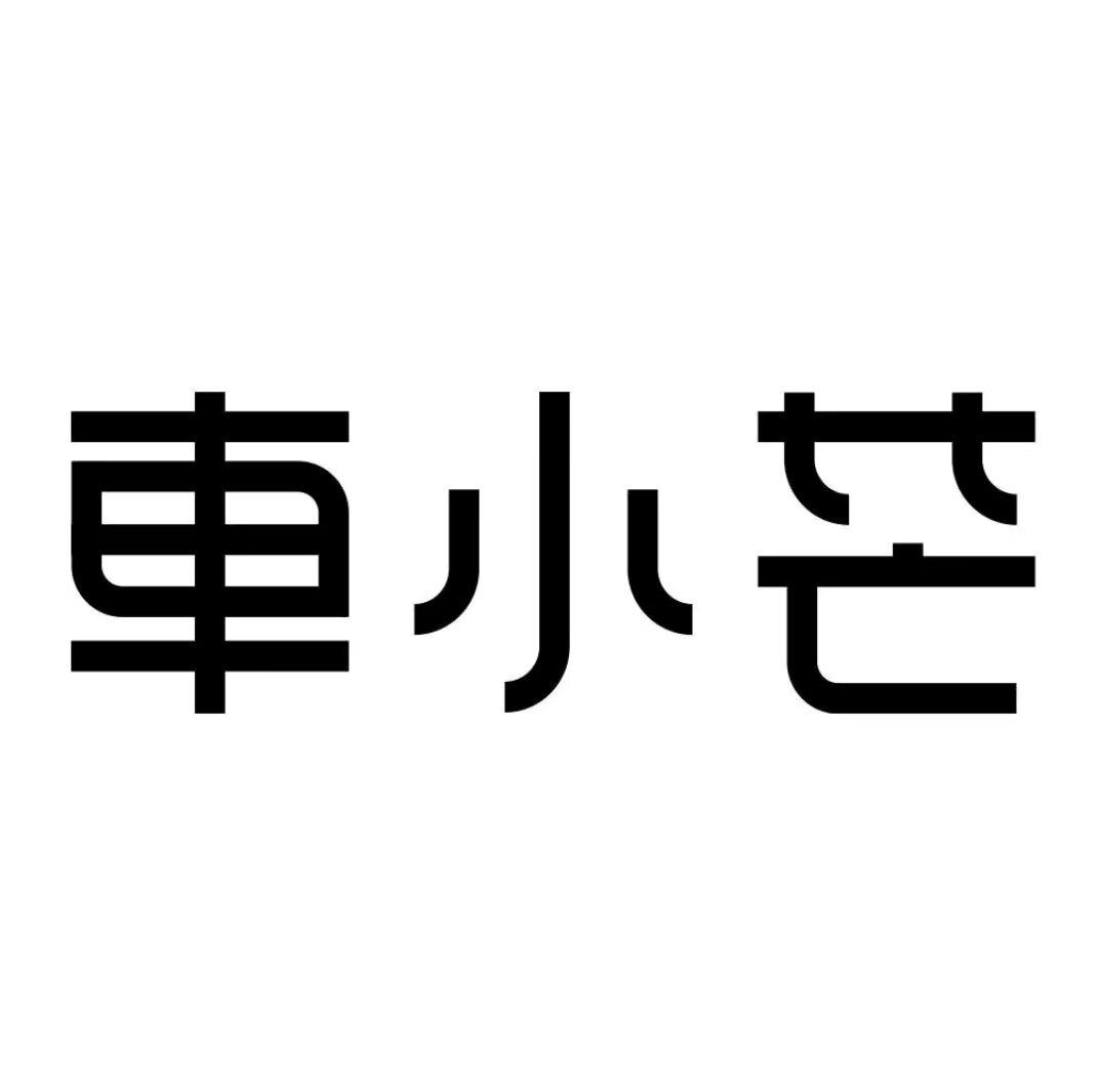 车小芒汽车用品企业店的LOGO