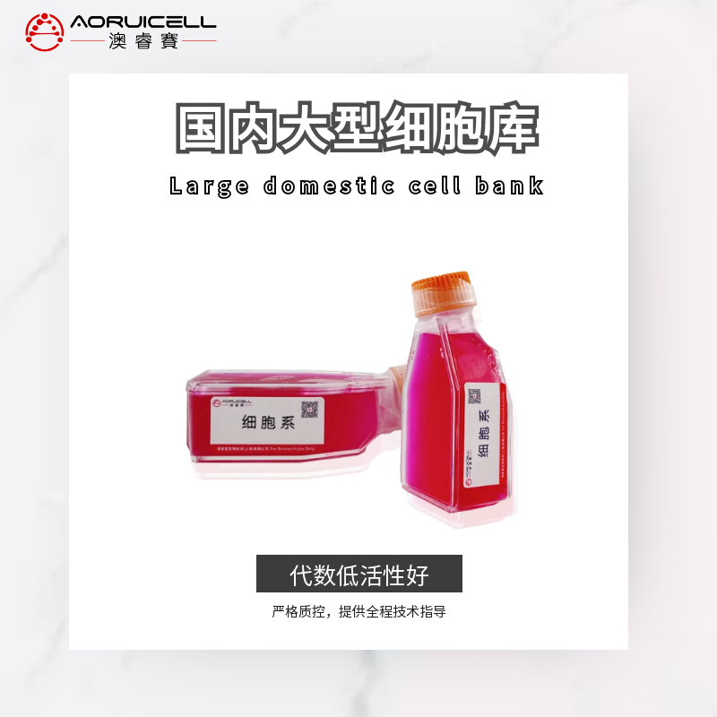 有限细胞系人肺成纤维细胞Hs888Lu 澳睿赛 1&times;106cells/T25培养瓶