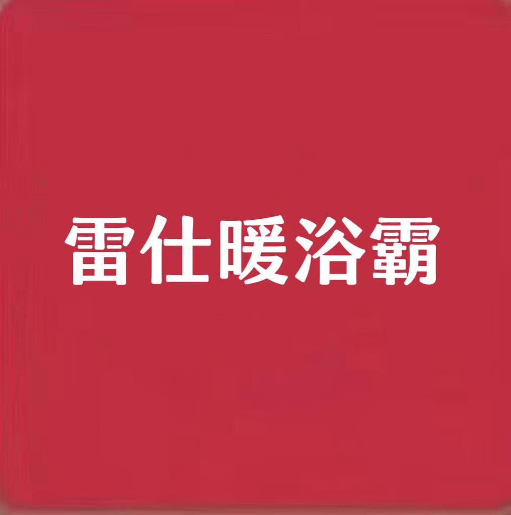 雷仕暖智能浴霸品牌店