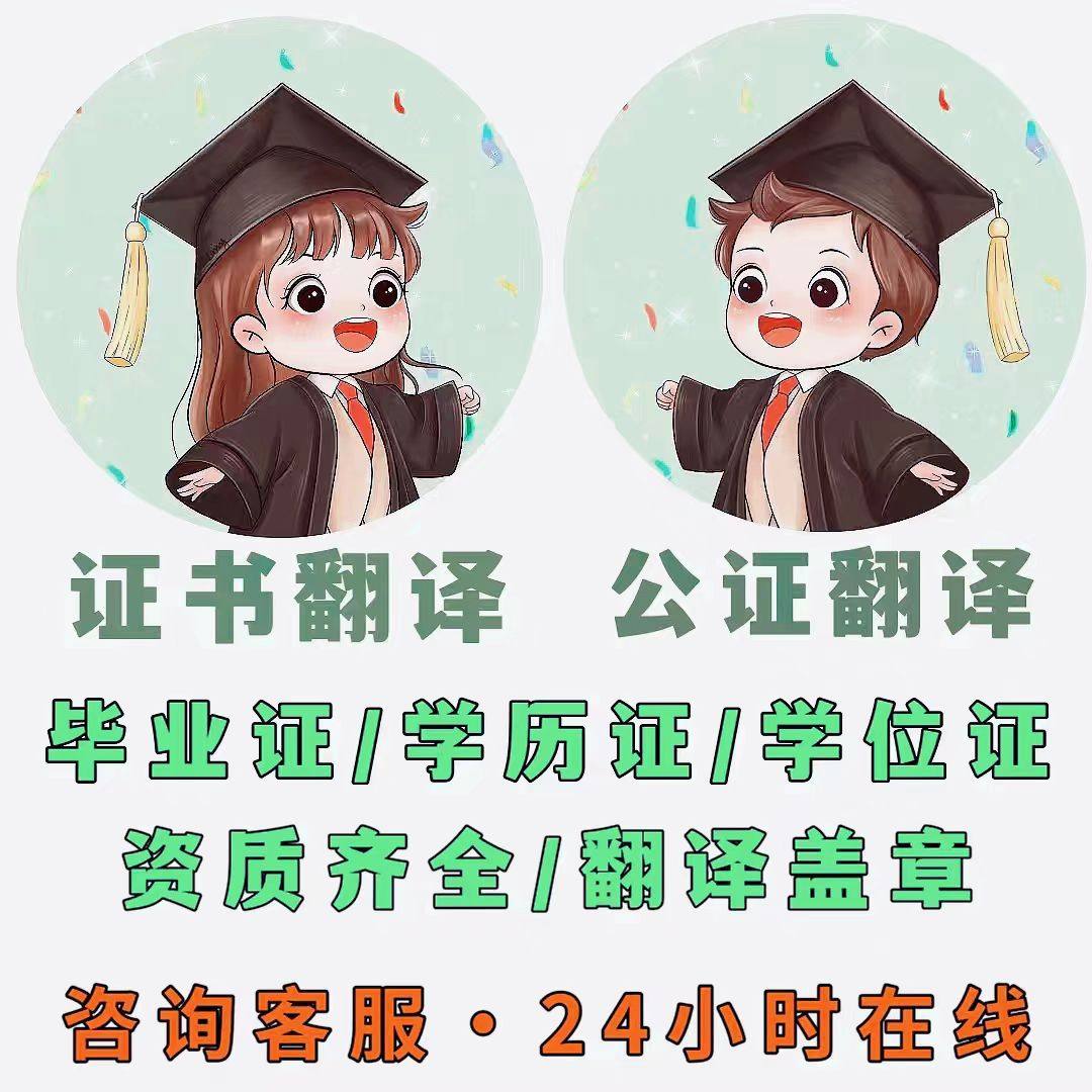 笔译英文签证资料，你的出国无忧指南！-笔译服务-淘宝好物网