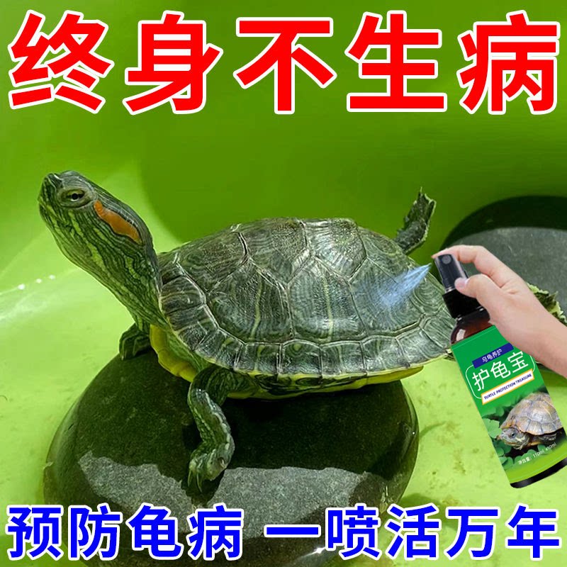 护龟液水巴西龟专用！解决腐皮烂甲白眼病，让乌龟恢复活力！-爬虫-淘宝好物网