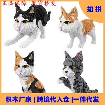 Ten-Level Hell Building Blocks Harvard University Tsinghua University 2025 New Model Assembly Toy for Boys High Difficulty