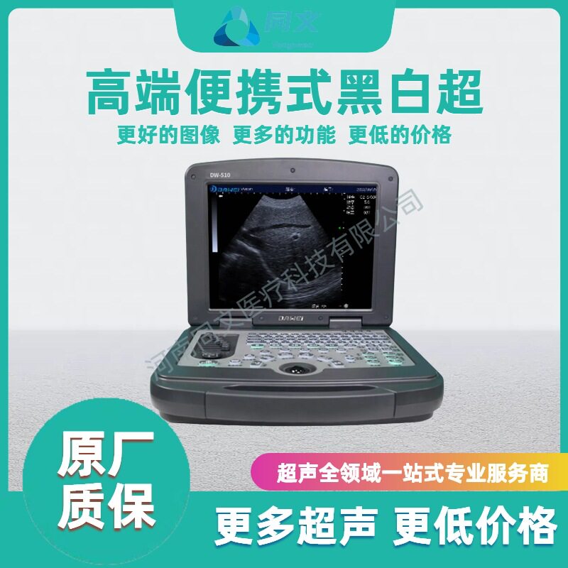 便携式黑白超 便携式B超  b超机  基层  诊所 黑白超
