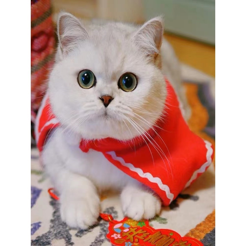 旅游团跟团游晋城靠谱吗？2025年最新选择指南来了！