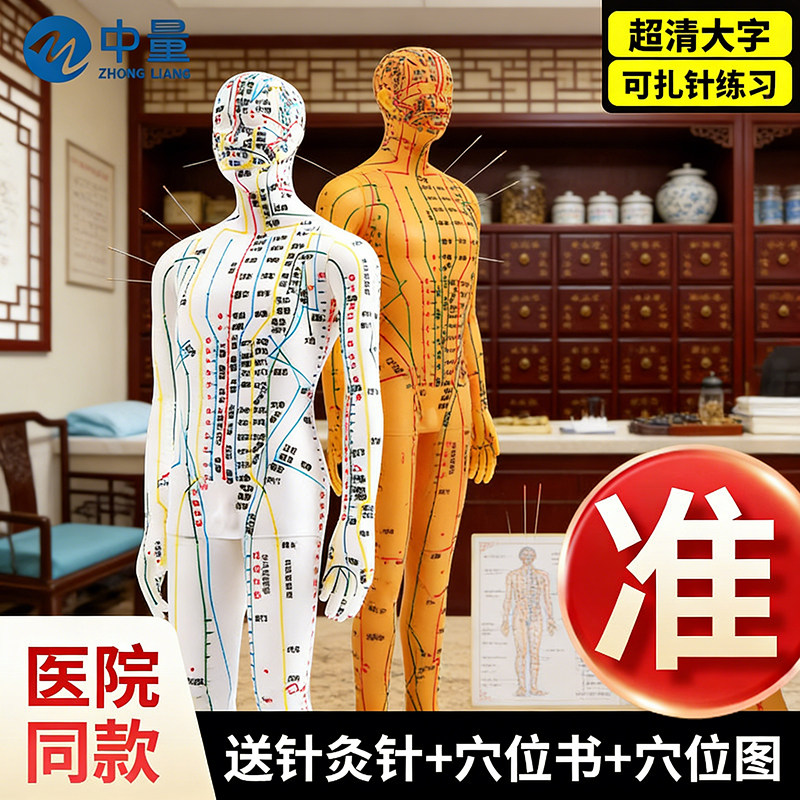 人体针灸穴位模型全身超清晰十二经络人形硅胶中医教学可扎针练习