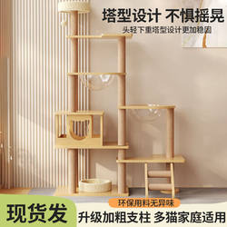 Simple Integrated Small Apartment Space Capsule Platform All Year Round Neutral Large Cat Home Delivery Supplies Shelf