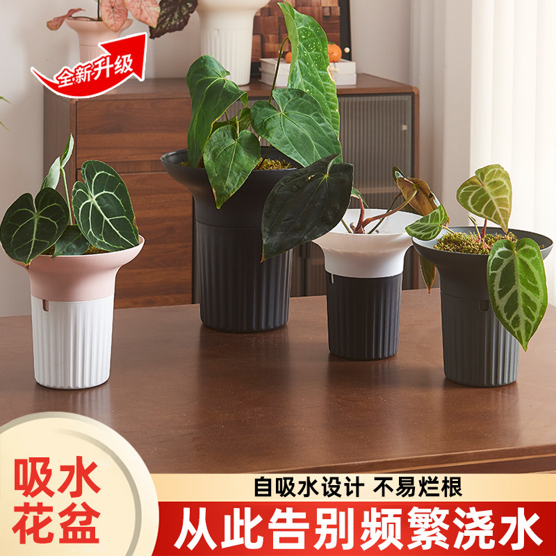 懒人自吸水花盆大号双层树脂塑料阳台室内水培绿萝免浇水控根神器