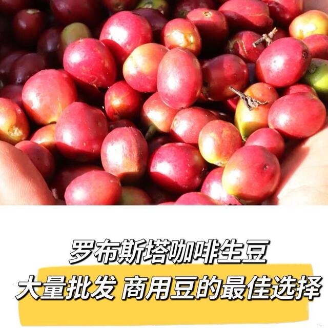 Robusta Coffee Beans Imported from Vietnam, New Season Coffee Green Beans from Laos, Commercial Medium-Sized Varieties, 16 Mesh 18 Mesh