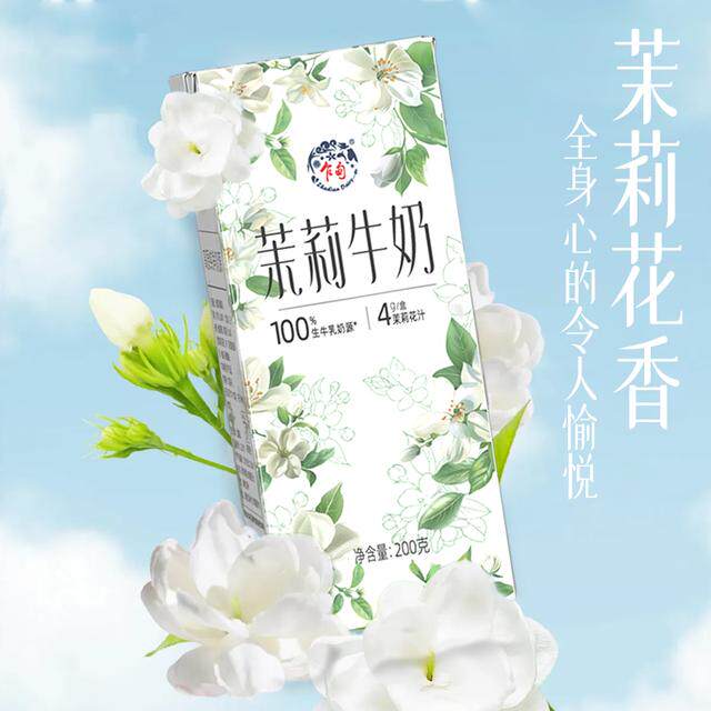 Plateau Pasture Green Milk/Jasmine Milk Refreshing Milk Fragrance Full Box 200g*8 Boxes*2