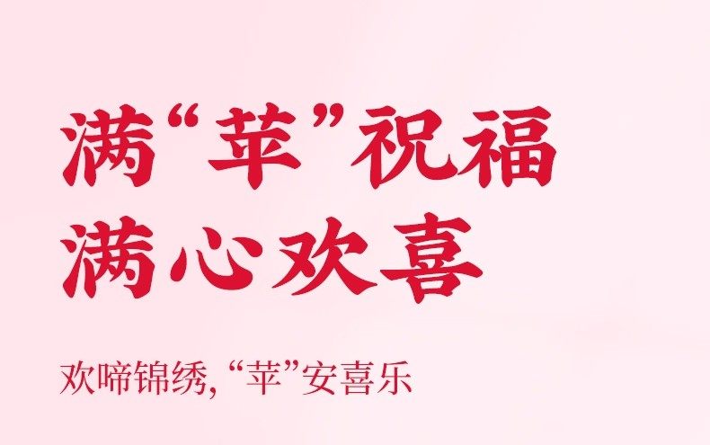 安享好物 安享B级果汁-汇源苹果汁 国标 