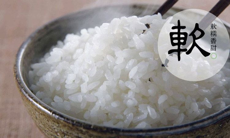 安享好物 安享C级粳米-奕米阳光东北大米 国标 
