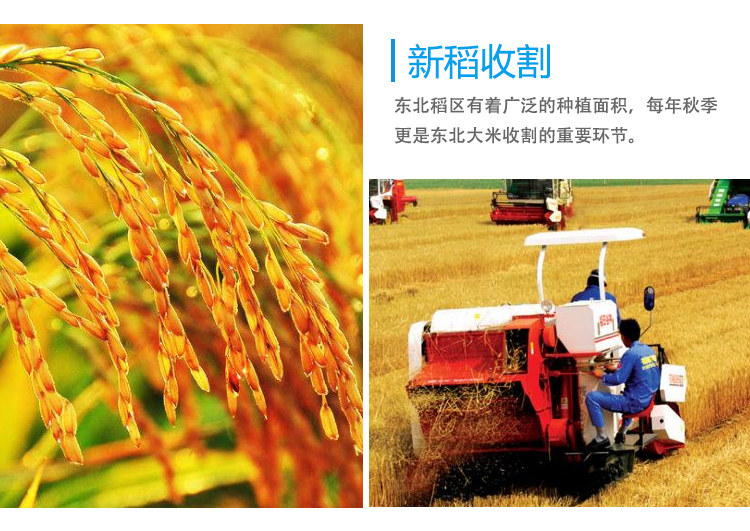 安享好物 安享C级粳米-奕米阳光东北大米 国标 