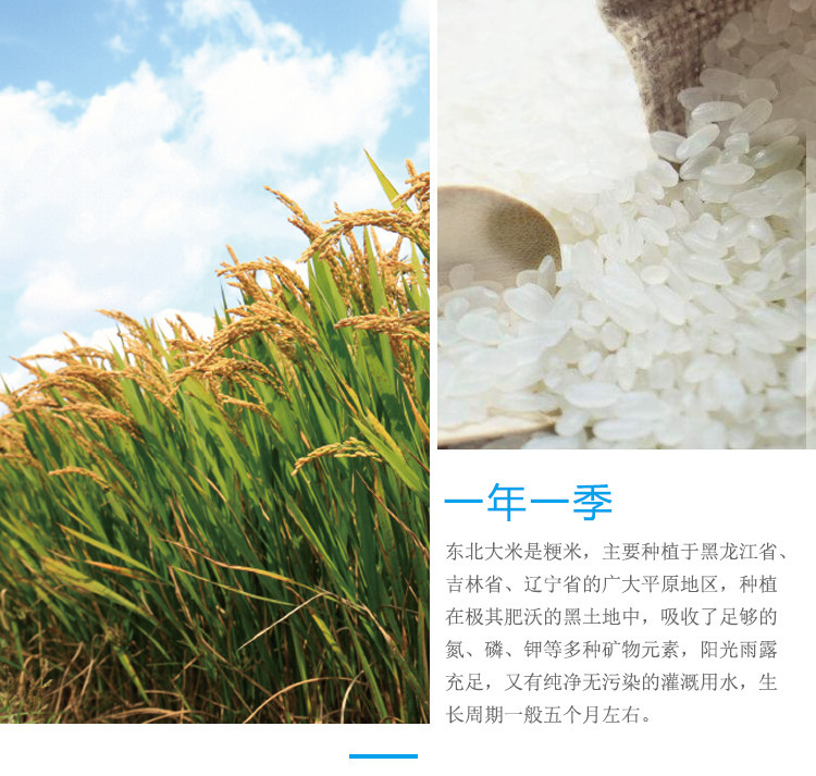 安享好物 安享C级粳米-奕米阳光东北大米 国标 