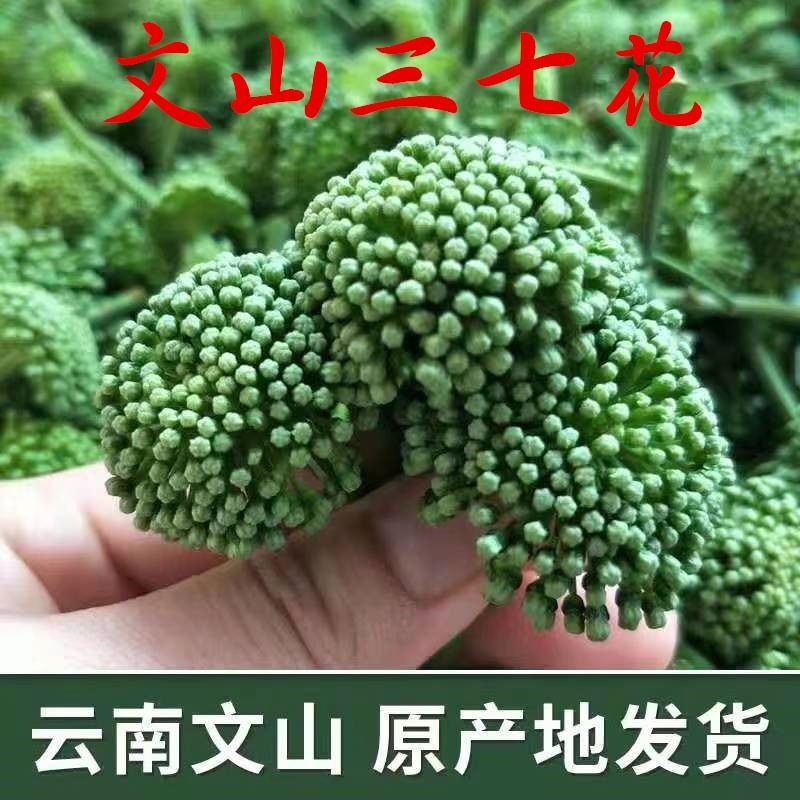 文山新鲜三七:从深土到养生餐桌的传奇之旅