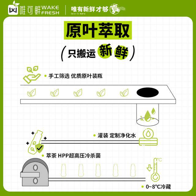 [Exclusive for Experts] Weike Fresh Hpp Cold Brew Tea 