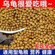ອາຫານເຕົ່າ, ອາຫານເຕົ່າ snapping, stone money turtle feed, turtle food, the Brazilian turtle feed, small turtle feed, turtle food, universal