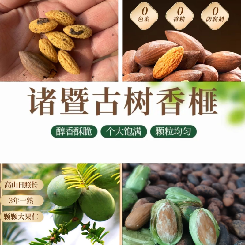 2024年最新香榧子来袭！诸暨枫桥特产古树香榧，你尝鲜了吗？-香榧-淘宝好物网