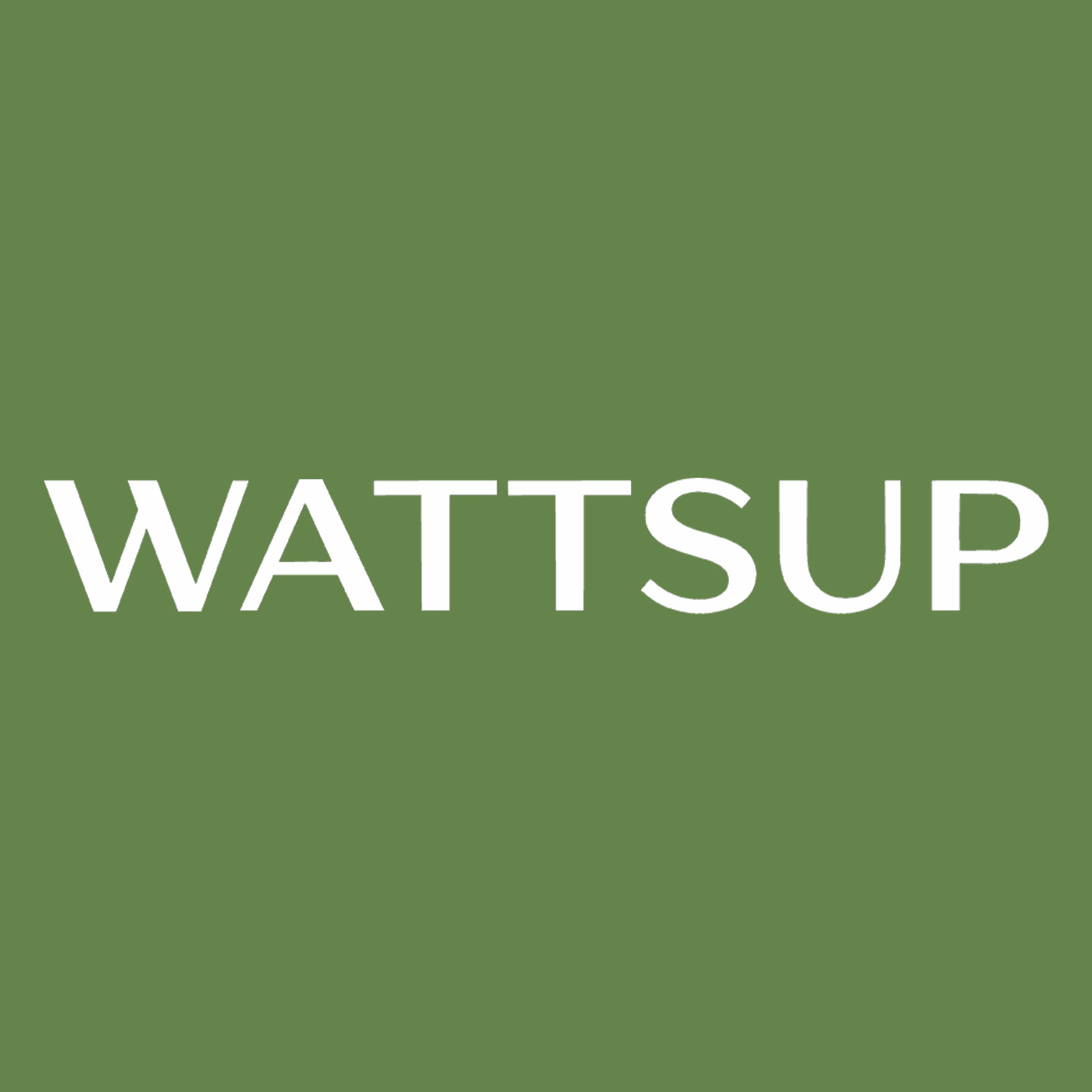 wattsup车品旗舰店