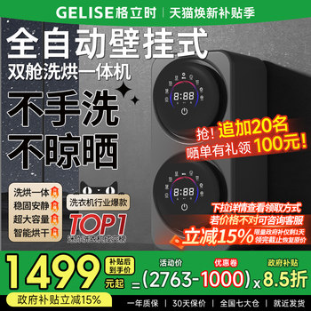 Wall-Mounted Dual-Cavity Underwear Washing Machine with Integrated Washing, Drying, and Spinning, Small Fully Automatic Separate Bucket Mini Sock Washing Machine