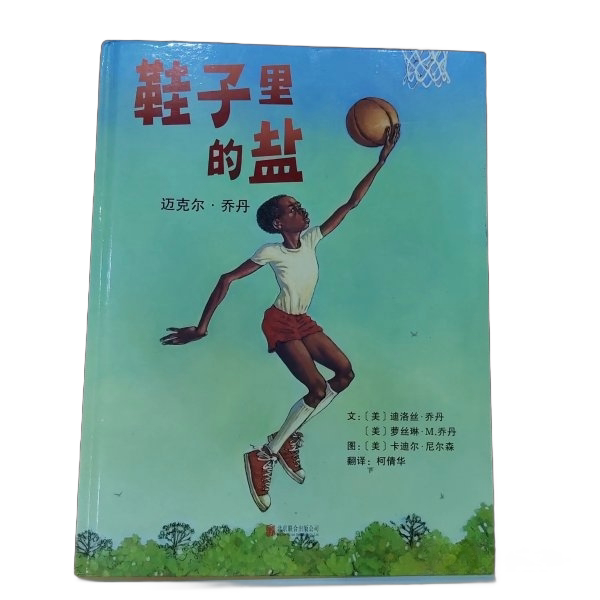Authentic 90% New Books | Salt in the Shoes: Michael Jordan (Usa) Jordan Et Al. Publisher