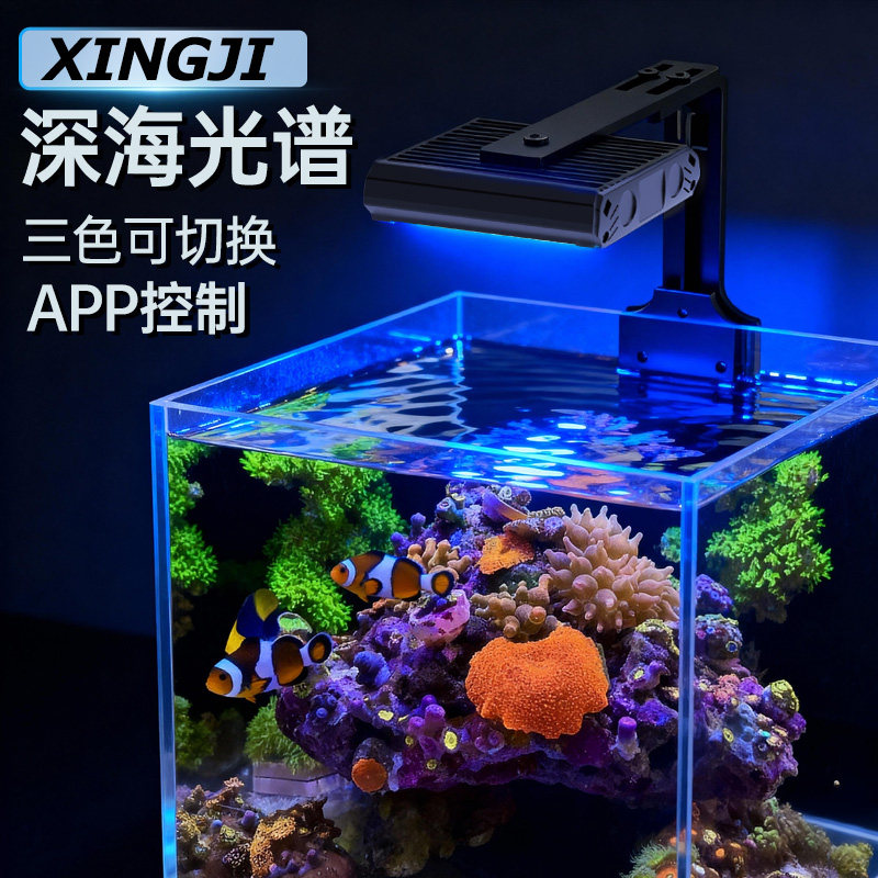 让海缸焕发生机🌟| 海缸珊瑚灯推荐-照明器材-淘宝好物网