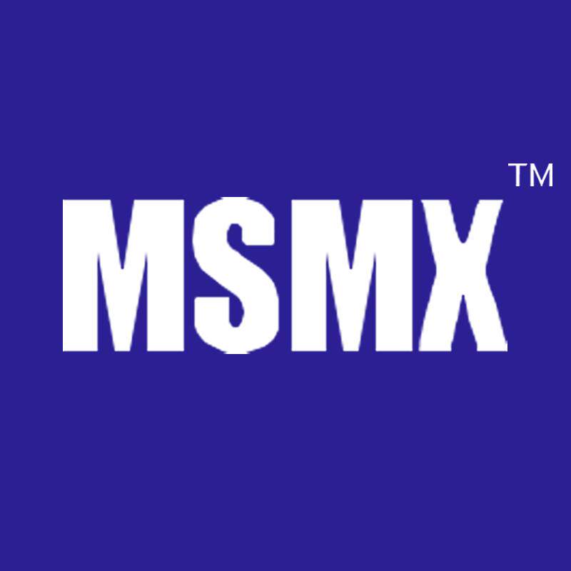 MSMX旗舰店的LOGO