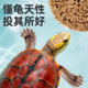 Turtle food stone money turtle food Vietnamese stone turtle money turtle musk turtle universal turtle food baby turtle food turtle food