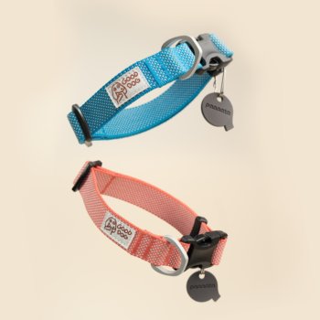 paaaata Praise Collar·Ultra-light adjustable quick-drying anti-odor soft pet collar for small and medium-sized dogs