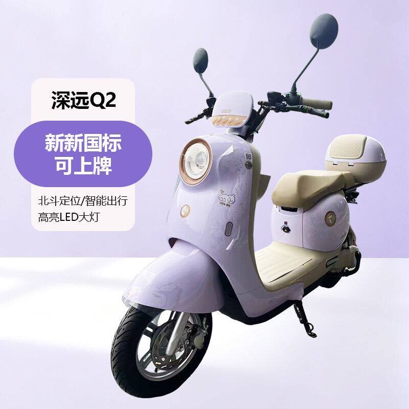Shenyuan Q2 New National Standard Electric Bicycle for Women, Suitable for Home Use, Commuting, Sports, and Long-Distance Travel with Sufficient Power